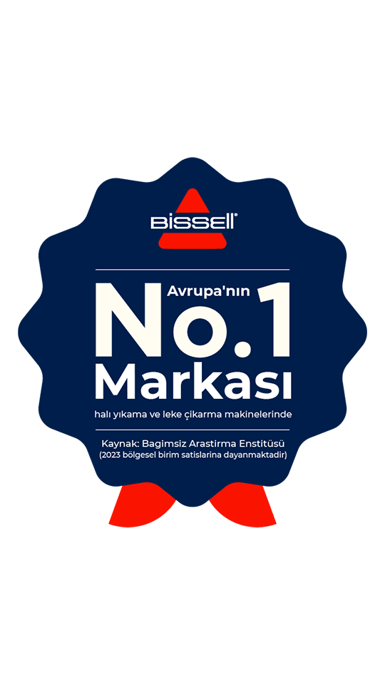 Big Green Profesyonel Halı ve Koltuk Yıkama Makinesi